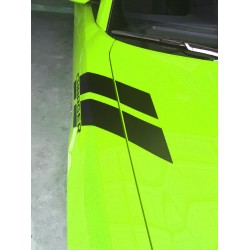 392 Fender hash Stripes