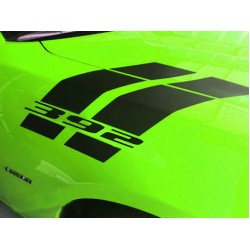 392 Fender hash Stripes