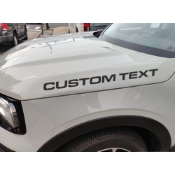 Custom Text fender hood letters for Any Ford Bronco Hood