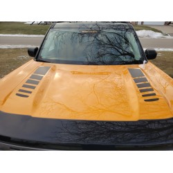 Vinyl Hood Accents stripes graphics for Ford Bronco Sport - V7