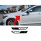 Hyundai Genesis fender accent