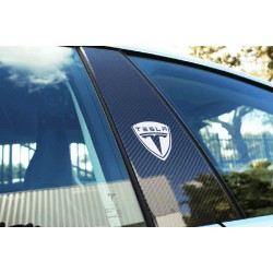 TESLA pillar logo 2
