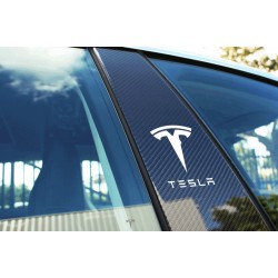 TESLA pillar logo
