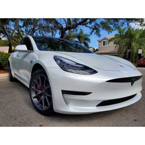 tesla grille vinyl graphics decal decoration
