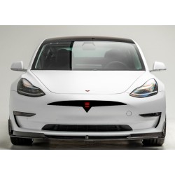 Tesla Model 3 Model Y bumper grille decal - 1C