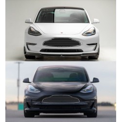 Tesla Model 3 Model Y bumper grille decal (AstonMartin Style 2)