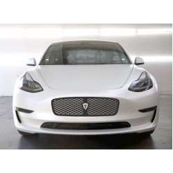 Tesla Model 3 Model Y bumper grille decal - style 18