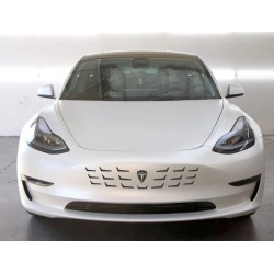 Tesla Model 3 Model Y bumper grille decal - style 16