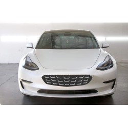 Tesla Model 3 Model Y bumper grille decal - style 17