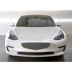 Tesla Model 3 Model Y bumper grille decal - style 19