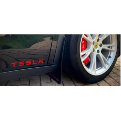 2pcs TESLA door panel Decals