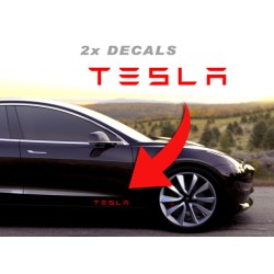 2pcs TESLA door panel Decals