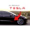 2pcs TESLA door panel Decals