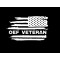 OEF Veteran US Flag 1