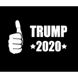 Trump 2020 - style 1