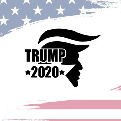 Trump 2020 - style 3