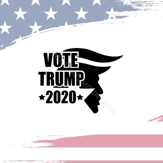 vote Trump 2020 for president sticker