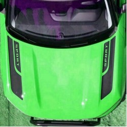 Vinyl Hood Accents stripes graphics for Ford Bronco Sport - V11