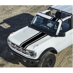 14" Body stripes graphics for 6G Ford Bronco