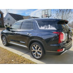 3rd Window Trees Mountains scene vinyl graphics for Hyundai Palisade - V3