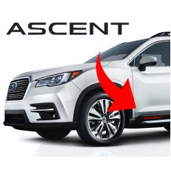 Ascent Door Decals (Subaru)
