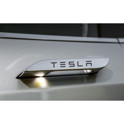 Model S Door Handles overlay